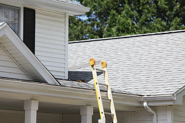 Professional Siding in Waukesha, WI